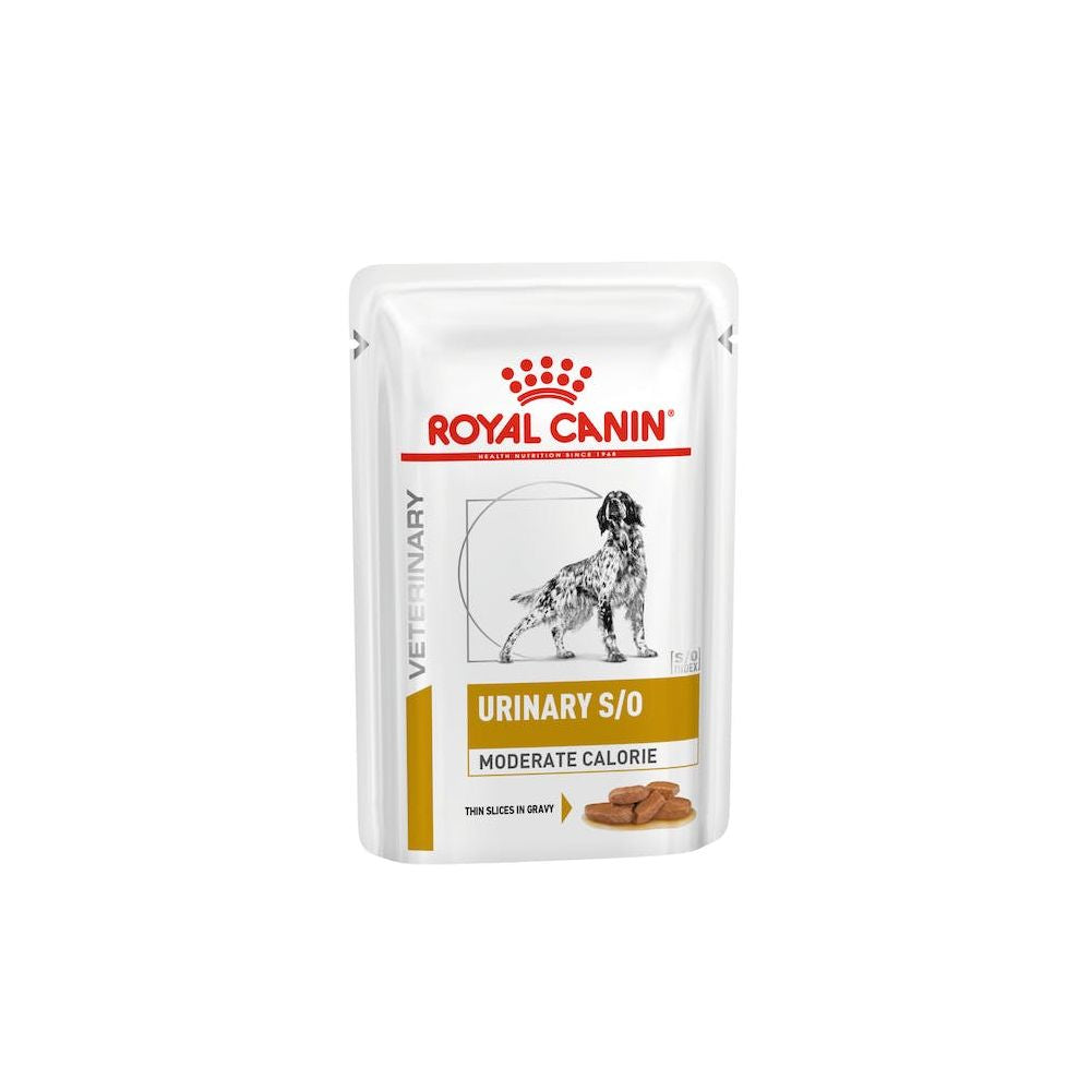 ROYAL CANIN Urinary S/O Moderate Calorie 12x100g karma mokra dla psów