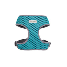 Amiplay Szelki Scout Sonic S Turkusowy