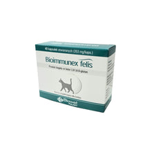 Biowet Bioimmunex Felis Wspomaganie Odporności 40 Kapsułek
