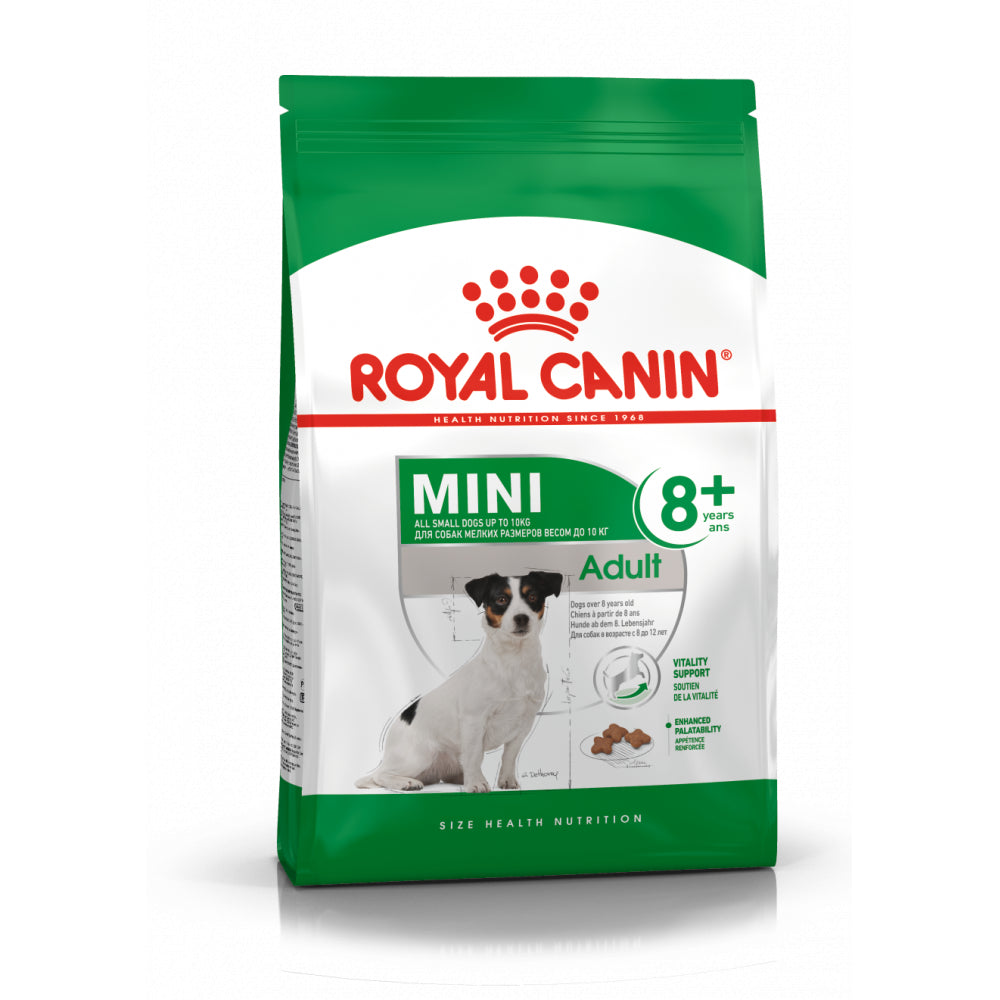 ROYAL CANIN Mini Adult 8+  Karma Sucha Dla Psów Starszych Od 8 Do 12 Roku Życia Ras Małych 800 g