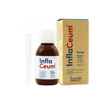 Scanvet InflaCeum 100ml na Stawy dla Psa i Kota