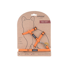 Amiplay Twist Szelki + Smycz Dla Kota Rozmiar M Pomarańczowe