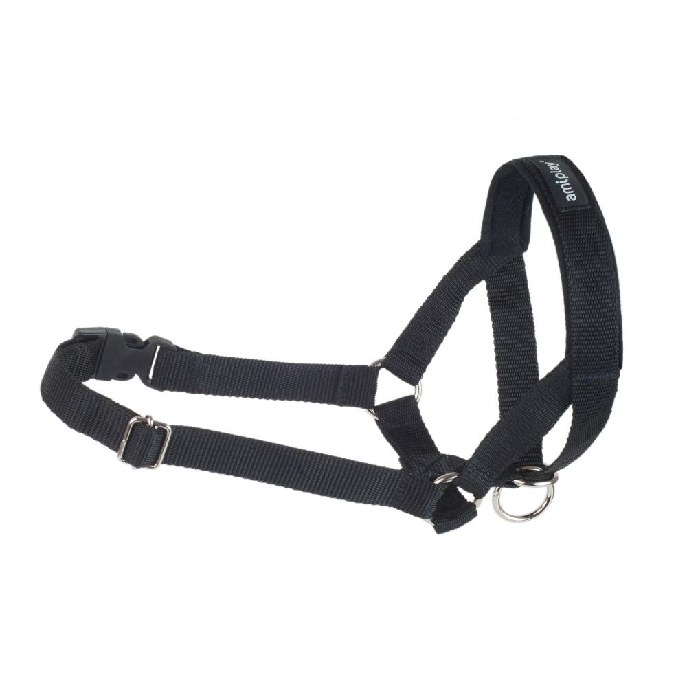 Amiplay Halter Basic Rozmiar S Czarny