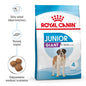 Royal Canin Giant Junior Karma Sucha Dla Szczeniąt Od 8 Do 18/24 Miesiąca Życia Ras Olbrzymich 15 kg