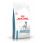 ROYAL CANIN Dog Skin Care Adult 11kg karma sucha dla psów