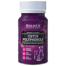 Holista Bio Cistus Herb Czystek Dla Psa i Kota 100 g