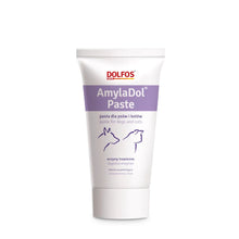 Dolfos AmylaDol Paste Wyrównanie Zaburzeń Trawiennych Dla Psa i Kota 50 g