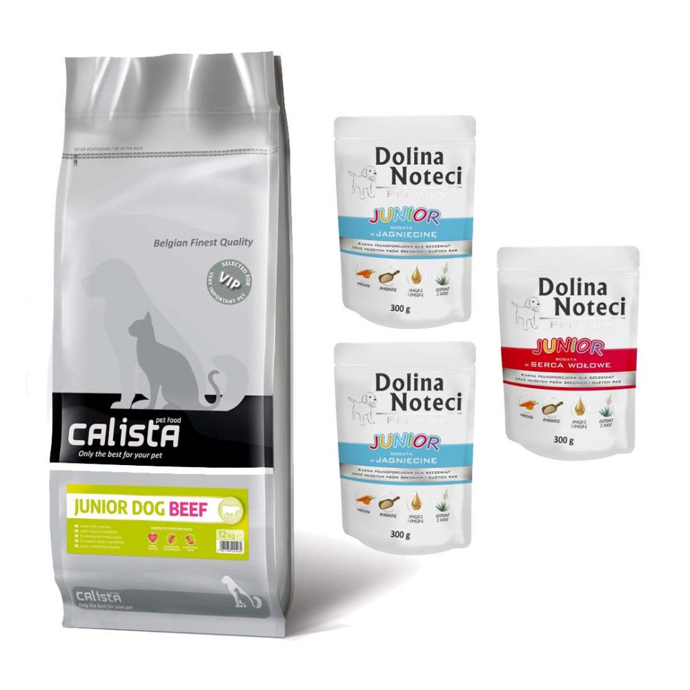 Pakiet LINCOLN CALISTA JUNIOR DOG 12KG +  3 saszetki Dolina Noteci Junior GRATIS!
