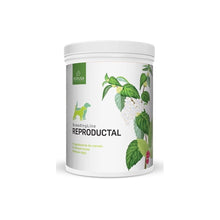 POKUSA BreedingLine Reproductal 350g