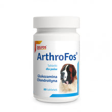 Dolfos ArthroFos 60 Tabletek