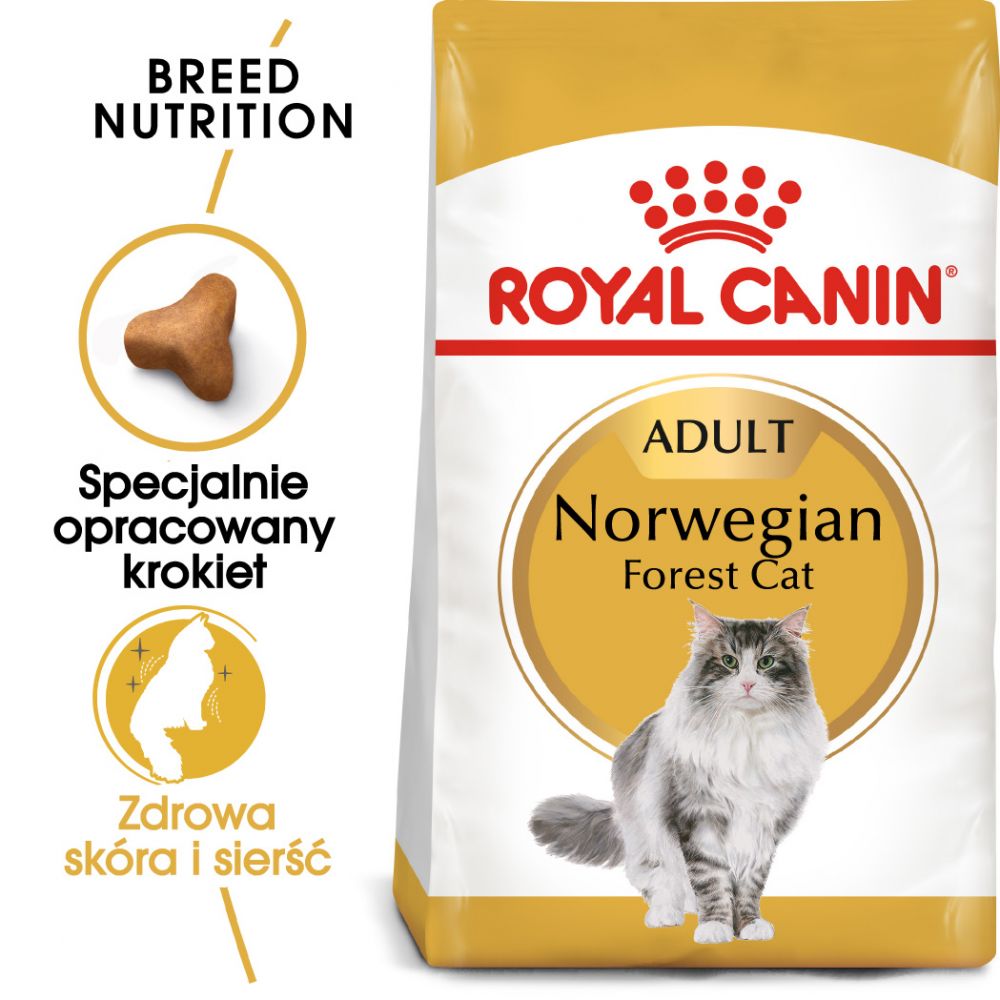 ROYAL CANIN Norvegian Forest Cat Adult karma sucha dla kotów dorosłych rasy norweski leśny 10 kg