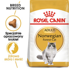 ROYAL CANIN Norvegian Forest Cat Adult karma sucha dla kotów dorosłych rasy norweski leśny 10 kg