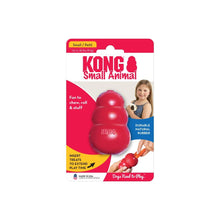 Kong Small Animal Rozmiar S
