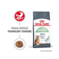 ROYAL CANIN Digestive Care Karma Sucha Dla Kotów Dorosłych Wspomagająca Przebieg Trawienia 400 g