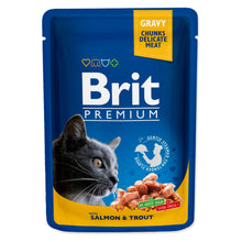 Brit Premium Salmon & Trout Łosoś Pstrąg Karma Dla Kota 100 g
