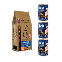 Pakiet LINCOLN ADULT SALMON&RICE 12KG + 3 puszki Brit Fish with Fish Skin 400G GRATIS!