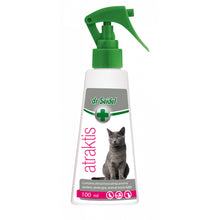 Dermapharm Dr Seidel Atraktis Preparat z Kocimiętką Dla Kotów 100 ml