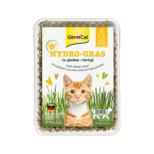 GIMCAT Hydro Gras trawa dla kotów w pojemniku 150g