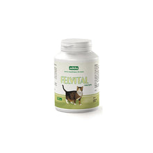 Mikita Felvital + Tauryna Dla Kota 100 Tabletek