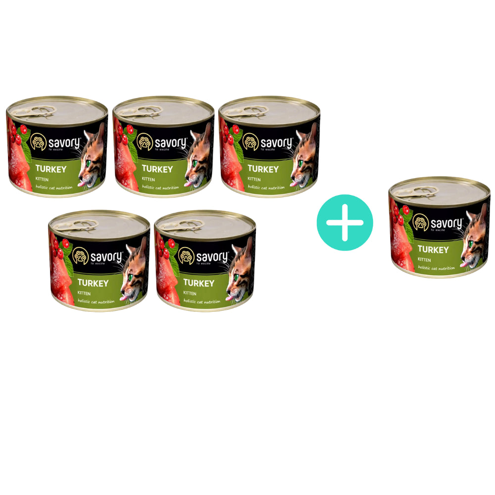 Pakiet Savory Cat Kitten Turkey Karma Mokra Dla Kociąt z Indykiem 5 x 200 g + 1 Puszka GRATIS!