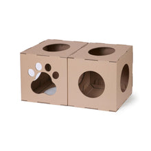 Carton+pets Twins dwa moduły z kartonu