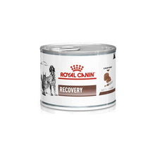 ROYAL CANIN Recovery Mousse 195g karma mokra dla psów