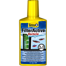 Tetra FilterActive Żywe Bakterie 250 ml