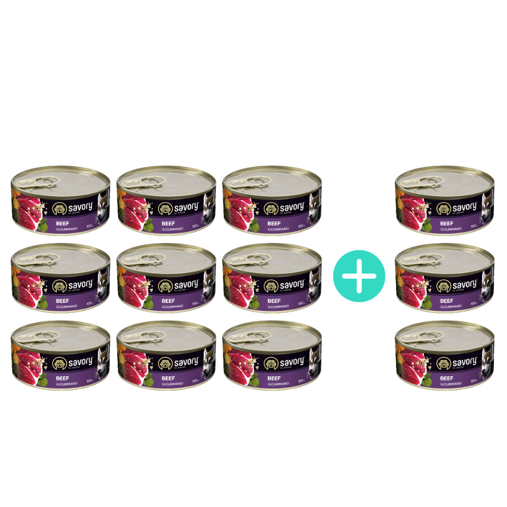 Pakiet Savory Dog Adult Mono Beef Karma Mokra Monoproteinowa Dla Dorosłych Psów Wszystkich Ras z Wołowiną 9 x 100 g + 3 Puszki Gratis!