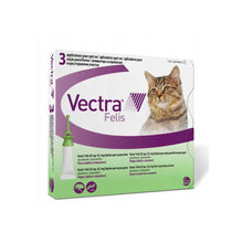 VECTRA 3D roztwór dla kotów 0,6-10kg na pchły i kleszcze