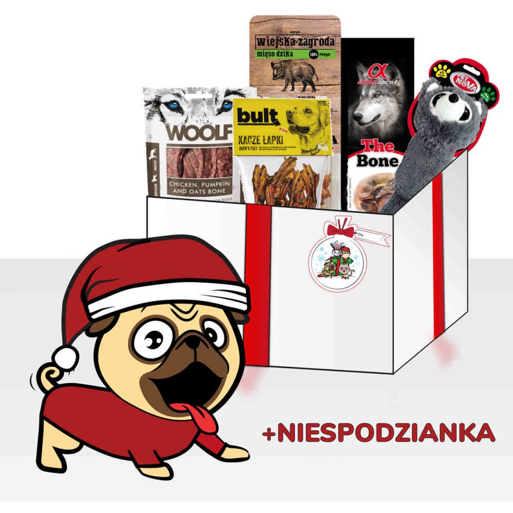 Prezent Gwiazdkowy Premium Dla Psa
