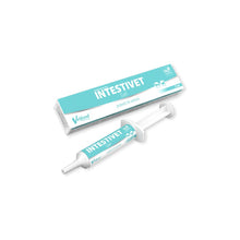 Intestivet Gel Pasta Dla Zwierząt 15 ml