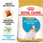 ROYAL CANIN Jack Russell Terrier Puppy karma sucha dla szczeniąt do 10 miesiąca, rasy jack russel terrier 500 g