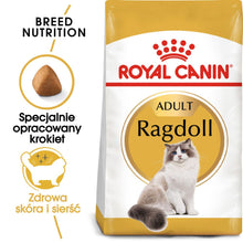 ROYAL CANIN Ragdoll Adult Karma Sucha Dla Kotów Dorosłych Rasy Ragdoll 400 g