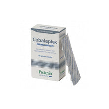 PROTEXIN Cobalaplex 60 kapsułek probiotyk dla psa i kota