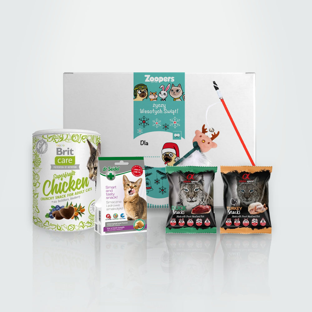 Prezent Gwiazdkowy dla Kota