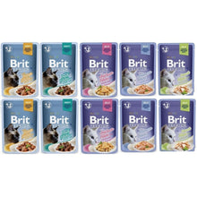 Pakiet Brit Premium Mix Smaków 10 x 85 g