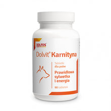 Dolvit Karnityna 90 Tabletek