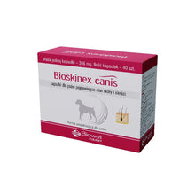 Biowet Bioskinex Canis Kapsułki Dla Psów Poprawiające Stan Skóry i Sierści 40 Kapsułek