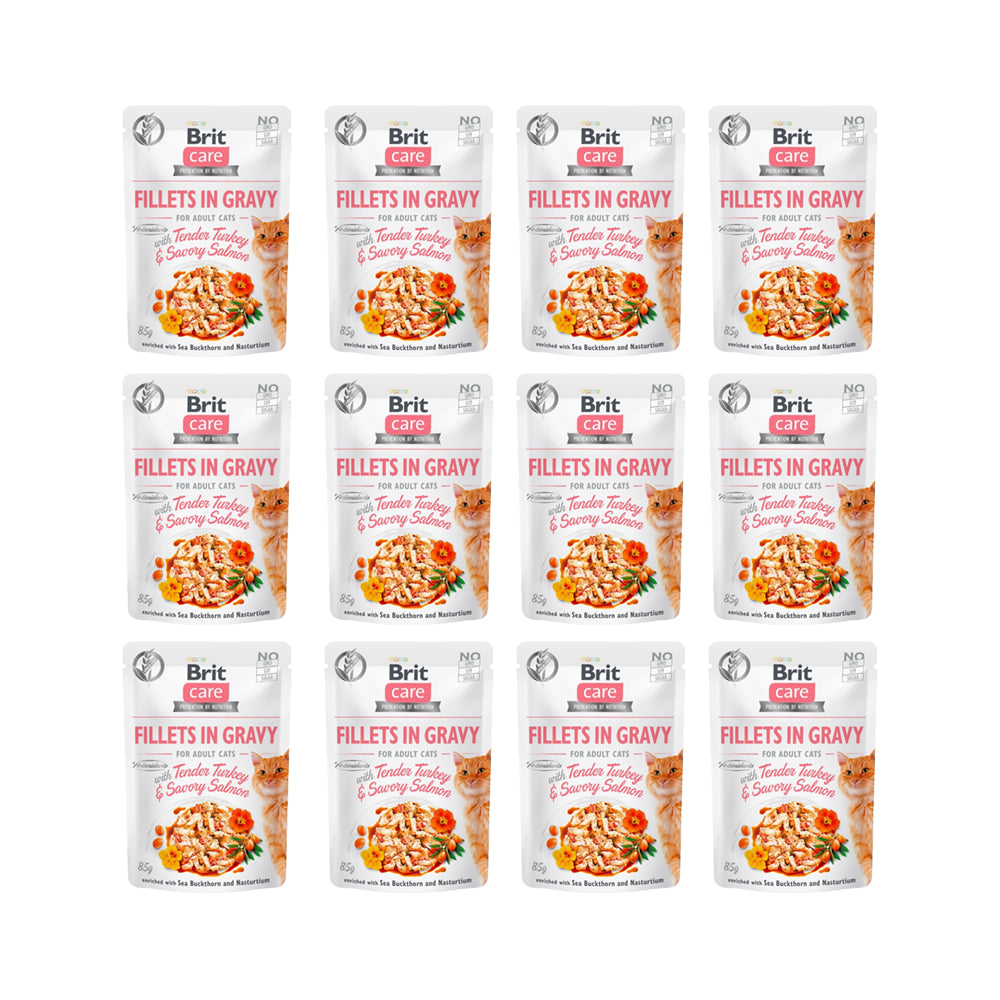 Pakiet Brit Care Cat Fillets In Gravy Tender Turkey & Savory Salmon Fileciki Z Indyka I Łososia W Sosie 12 x 85 g