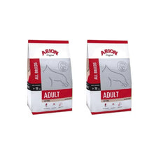 Pakiet Arion Original Adult All Breed Active Karma Dla Dorosłych Aktywnych Psów 2 x 12 kg