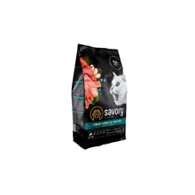 Savory Kitten Cat Fresh Chicken&Turkey Karma Sucha Dla Kociąt z Kurczakiem i Indykiem 400 g