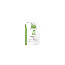 Brit Care Grain-Free  Salmon & Potato Adult Large Breed  Łosoś & Ziemniak Bezzbożowa Karma Dla Dorosłych Psów Dużych Ras 3 kg