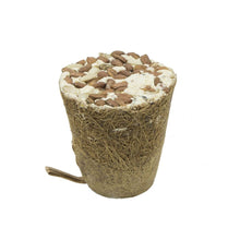 Garden&Fun Dzwonek Tłuszczowy z Orzechami z Włókna Kokosowego 250 g