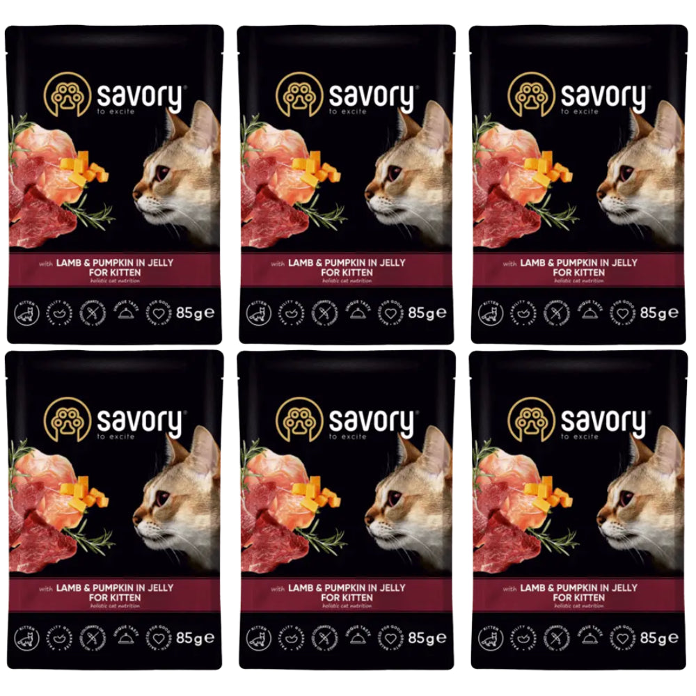Pakiet Savory Cat Kittens Lamb&Pumpkin Jelly Karma Mokra Dla Kociąt z Jagnięciną i Dynią w Galaretce 6 x 85 g