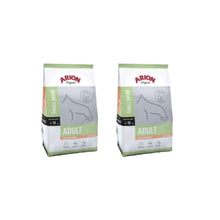 Pakiet Arion Original Salmon & Rice Small Adult 2 x 7,5 kg