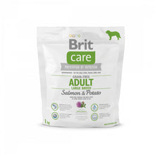 Brit Care Grain-Free Adult Large Breed  Salmon & Potato Łosoś & Ziemniak Bezzbożowa Karma Dla Dorosłych Psów Dużych Ras 1 kg