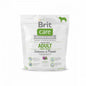 Brit Care Grain-Free Adult Large Breed  Salmon & Potato Łosoś & Ziemniak Bezzbożowa Karma Dla Dorosłych Psów Dużych Ras 1 kg