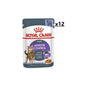 ROYAL CANIN Appetite Control kawałki w galaretce 85g 12 PACK