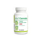 DOLFOS Dolvit Cannabis 90 tabletek CBD dla psa i kota