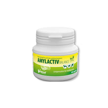 Amylactiv Balance Karma Uzupełniająca Dla Psów, Kotów, Gryzoni i Królików 60 kapsułek